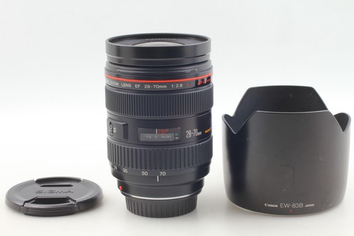 Ecc con cappuccio - [ecc,